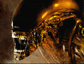 In space no one can hear you scream...