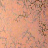 Click for enlargement