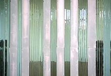 Paula Collier