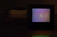 [phage] - Mary Flanagan