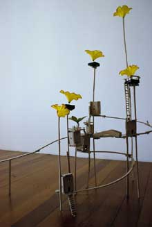 Joanna Langford