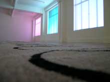 Ayşe Erkmen, 'awesome', 2006, installation