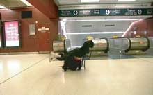 Shaun Gladwell, Godspeed Verticals: Escalator Sequence, 2004, DVD still