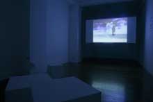 Mladen Bizumic - Colonial Atmospheres installation