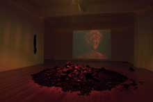 installation image