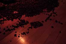 installation image