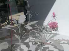 View from my window - Bekah Carran