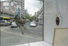 Phantasms, Prognostications and other portents of a general paranoia. - Scott Flanagan