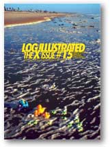 Log 15