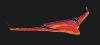 Blended Wing Body Spaceplane