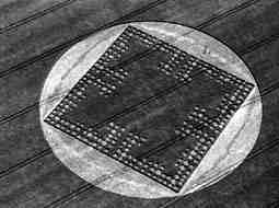 Crop formation