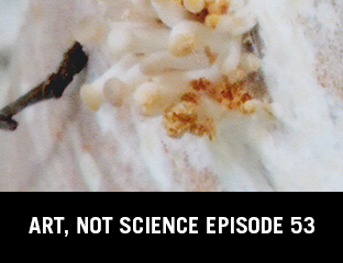 Art, Not Science Episode 53: Correspondence 2.2