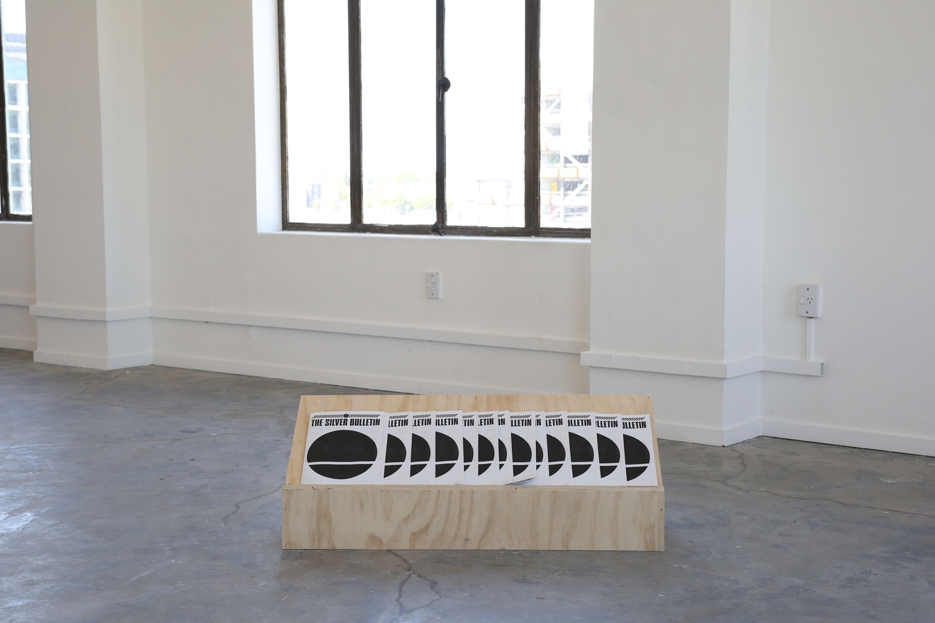 Matthew Galloway, Plywood shelf with Silver Bulletin reprints. Image: Daegan Wells.