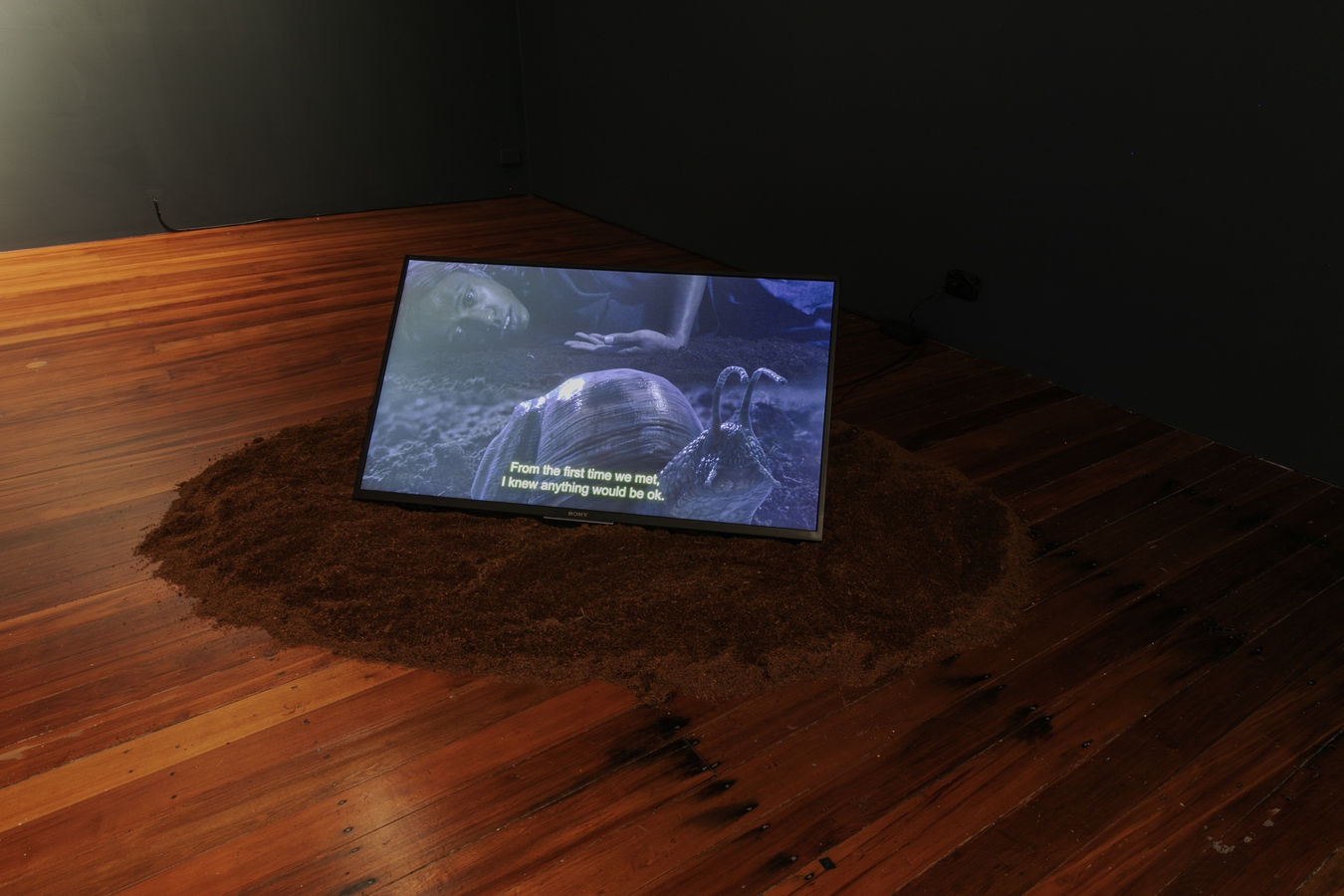 Image: Akil Ahamat, Dawn of a day too dark to call tomorrow (installation view), 2021. Photo by Nancy Zhou.