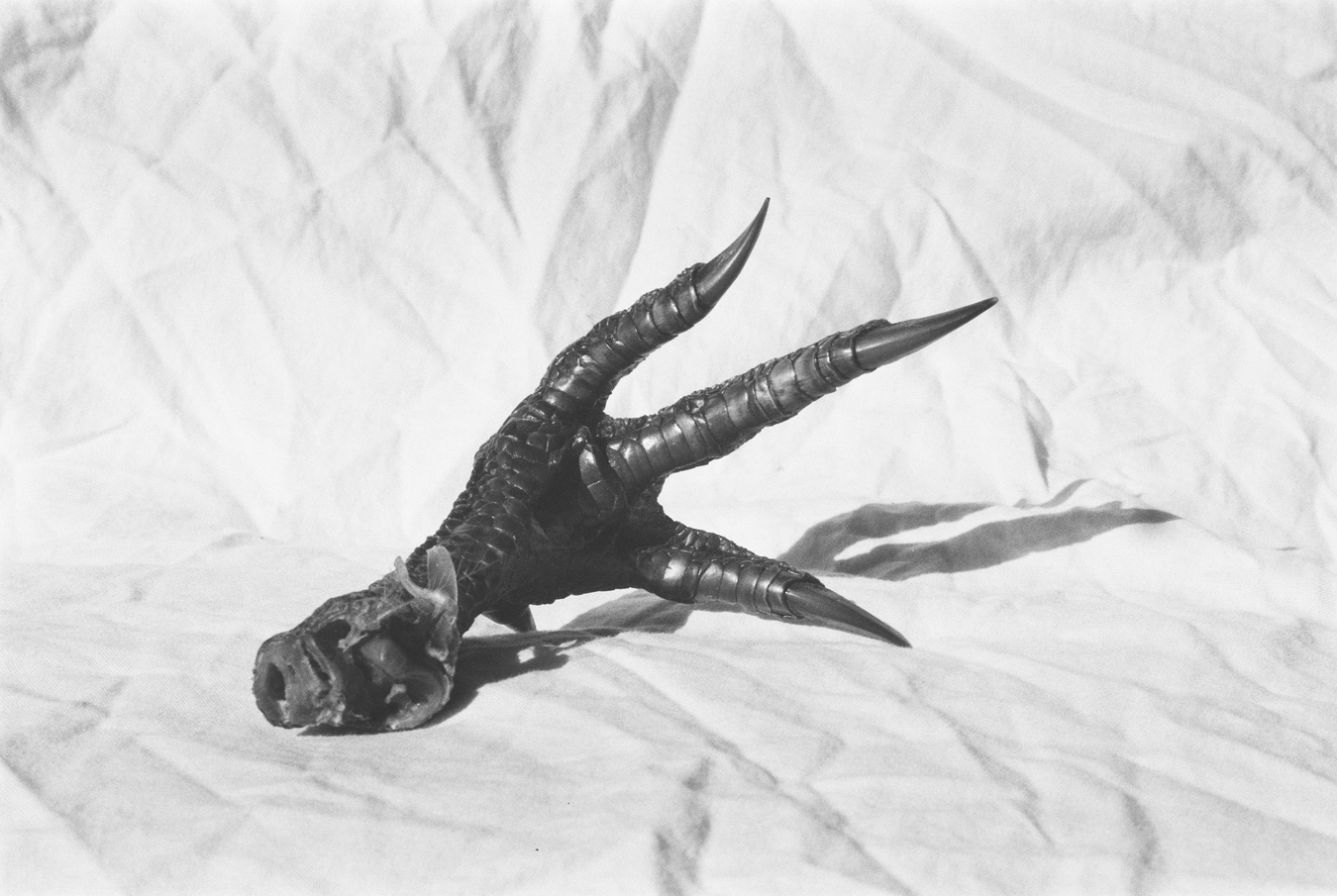 Mā Raro
