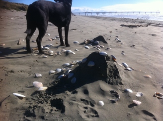 Salt of the Earth, Melissa Macleod: a temporary public artwork