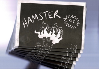 HAMSTER Whitu: Launch and Listening