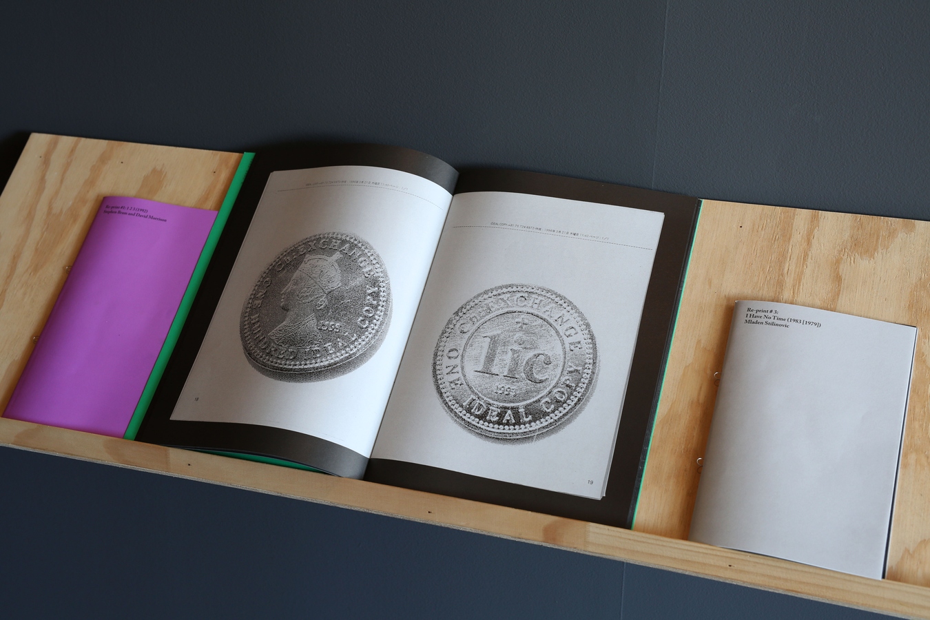 Plywood shelf with 3-ply publications, 2016. Image: Daegan Wells.