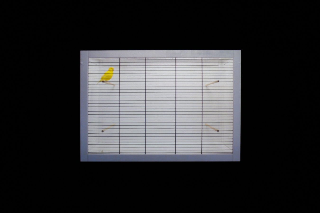 Zac Langdon-Pole, Pieces of 8, single channel HD digital film (still) 2015. Photograph: Daegan Wells