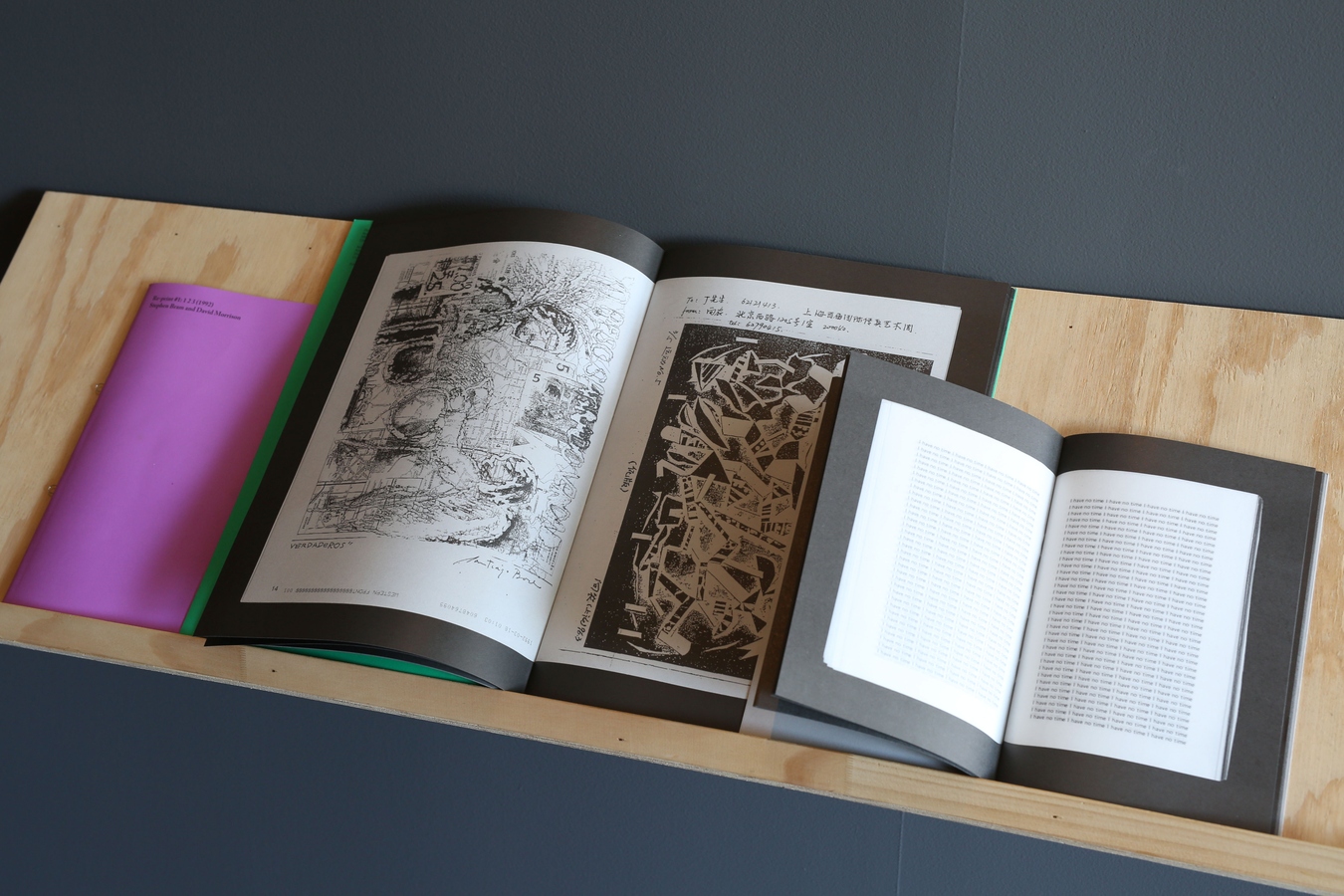 Plywood shelf with 3-ply publications, 2016. Image: Daegan Wells.