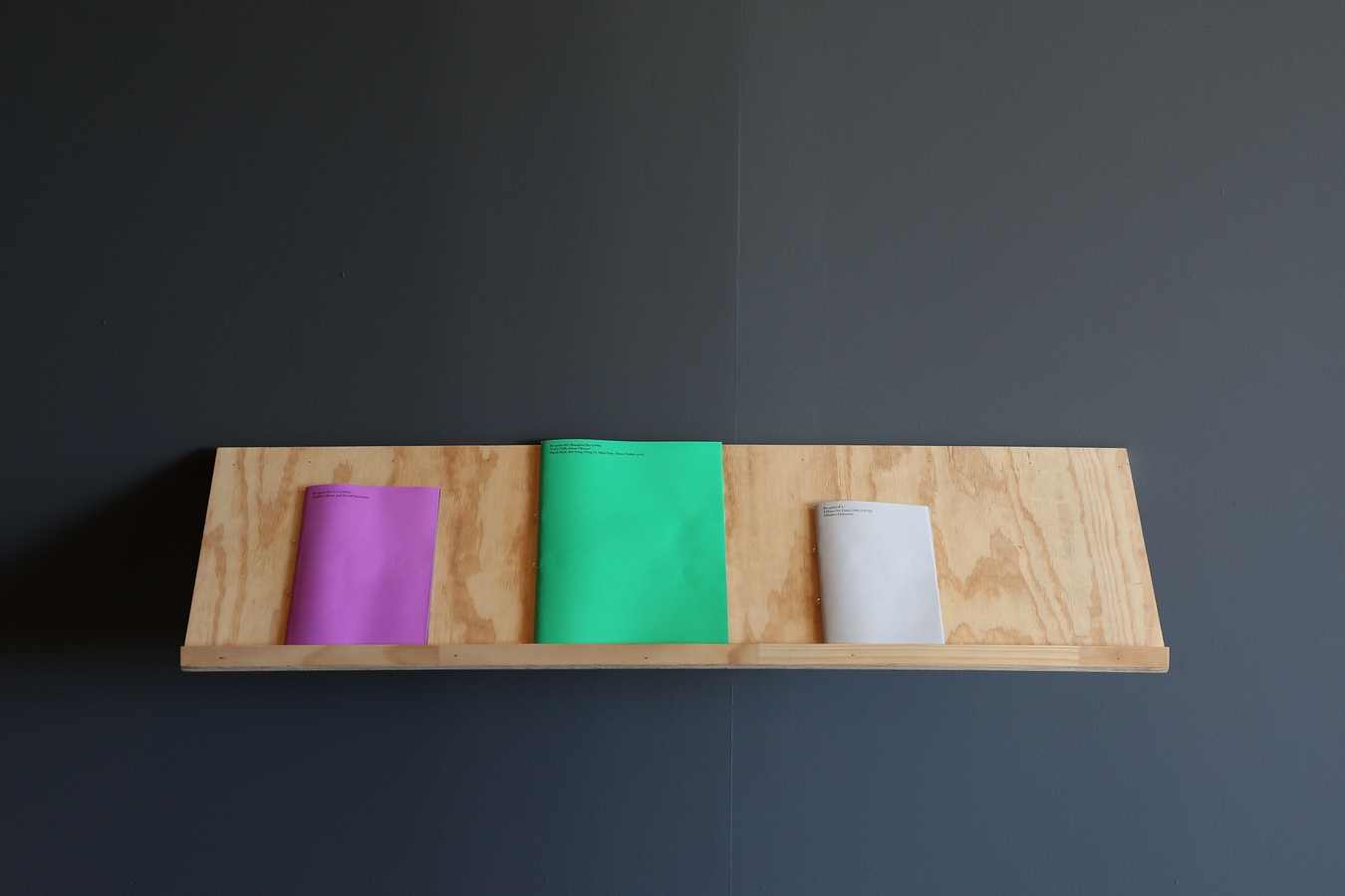 Plywood shelf with 3-ply publications, 2016. Image: Daegan Wells.