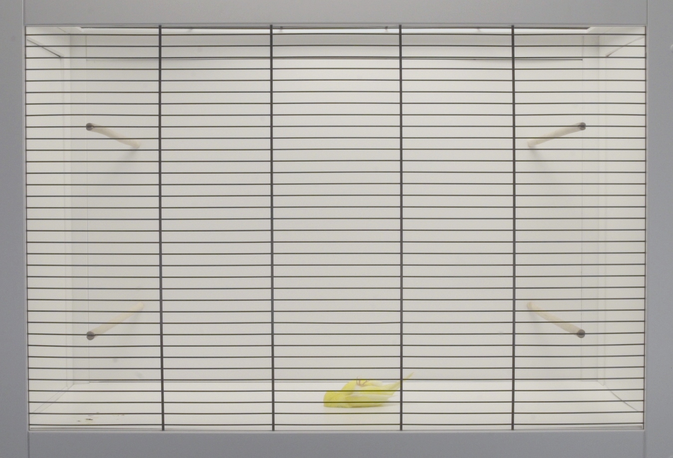 Zac Langdon-Pole, Pieces of 8, single channel HD digital film (still) 2015