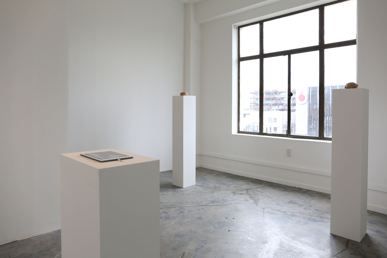 Scratch and Sniff (installation view), Cabbage, mixed media, 2016. Image: Daegan Wells.