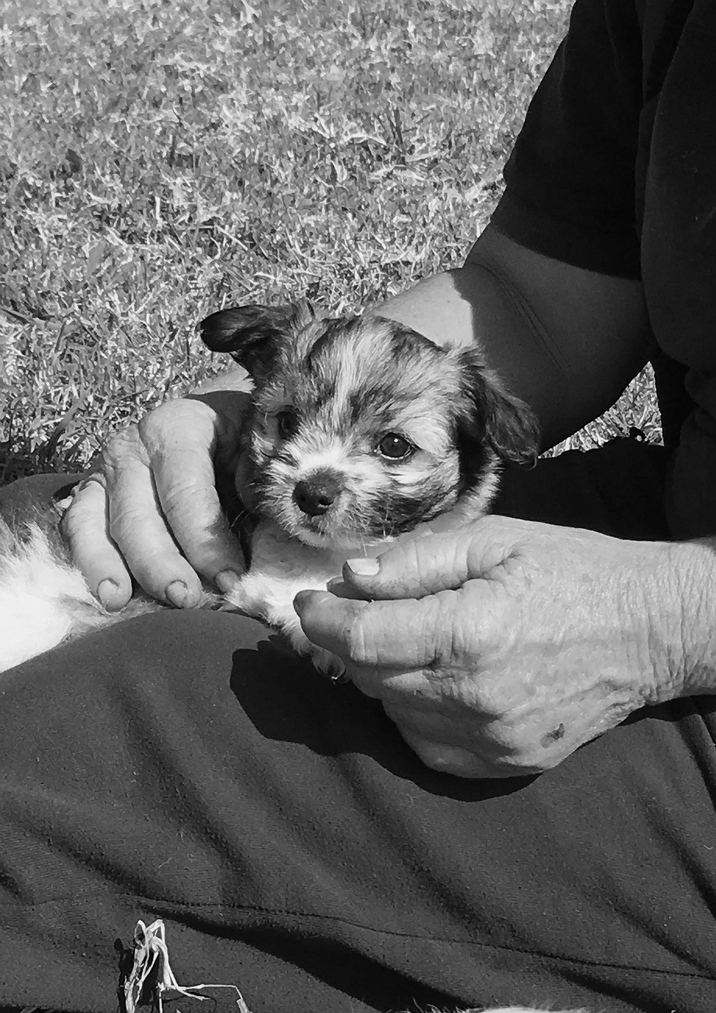 Cabbage. Image courtesy of the artist.