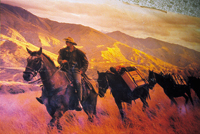 Otira (Detail)