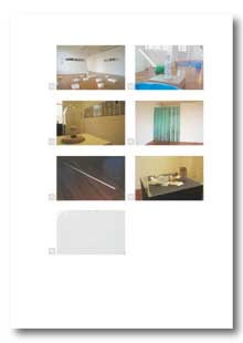 View Fresh - A series profiling Contemporary New Zealand Practitioners - Essay by Lee Devenish as a PDF