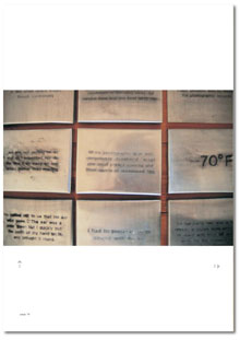 View essay by Grant Bambury In The Physics Room Annual 2002 