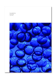 View The Loni & Roni Show - Essay by Megan Tamati-Quennell as a PDF 