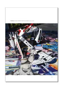 View The Kiosk. Essay by Danae Mossman as a PDF