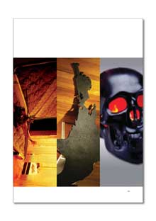 View Sampler. Essay by Rosemary Forde as a PDF